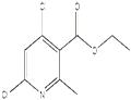 4,6-DICHLORO-2-METHYL-NICOTINIC ACID ETHYL ESTER