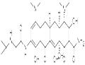 Tigecycline