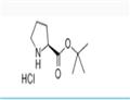 tert-Butyl L-prolinate hydrochloride