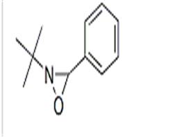 2-t-Butyl-3-phenyloxazirane