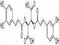 Cichoric acid pictures