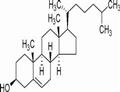  Cod-liver oil