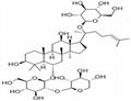 Notoginsenoside R1  