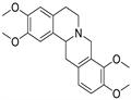 Tetrahydropalmatine