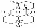 Oxymatrine