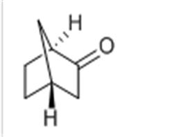 NORCAMPHOR