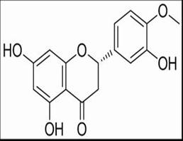 Hesperetin 