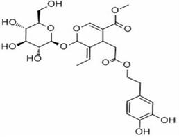 Oleuropein