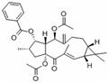 5,15-Diacetyl-3-benzoyllathyrol pictures