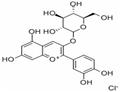 7084-24-4 Cyanidin-3-O-glucoside chloride