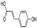 p-Hydroxy-cinnamic acid