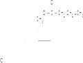 19-Nortestosterone 17-decanoate