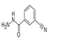 Benzoic acid, 3-cyano-, hydrazide (9CI) pictures