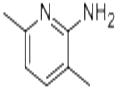 3,6-Dimethyl-2-pyridinamine pictures