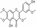 603-56-5 Chrysosplenetin B