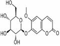 Scopolin