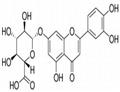 Luteolin-7-glucuronide