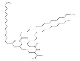 N-α-PALMITOYL-S-[2,3-BIS(PALMITOYLOXY)-(2RS)-PROPYL]-L-CYSTEINE