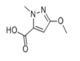 1H-Pyrazole-5-carboxylicacid,3-methoxy-1-methyl-(9CI)