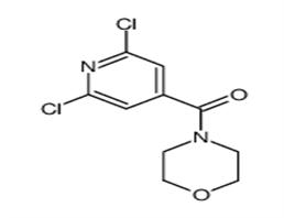 	4-(2,6-dichloro-isonicotinoyl)-morpholine