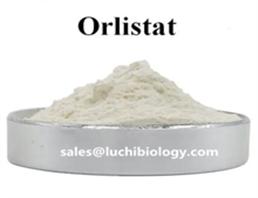 Orlistat Weight Loss Steroids