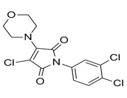 3-chloro-1-(3,4-dichlorophenyl)-4-morpholin-4-ylpyrrole-2,5-dione