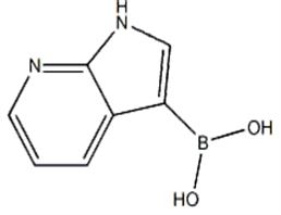 B-1H-pyrrolo[2,3-b]pyridin-3-ylboronic acid