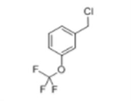 3-(TRIFLUOROMETHOXY)BENZYL CHLORIDE