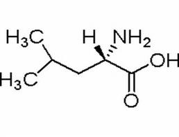 L-Leucine