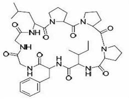 Heterophyllin B