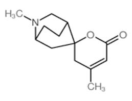 Spiro[2-azabicyclo[2.2.2]octane-5,2'-[2H]pyran]- 6'(3'H)-one,2,4'-dimethyl-,(1R,4R,5S)