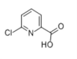 6-Chloropicolinic acid