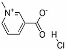 Trigonelline Hydrochloride