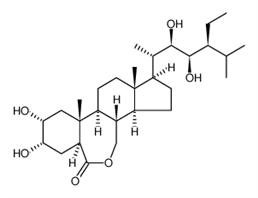 28-Homobrassinolide