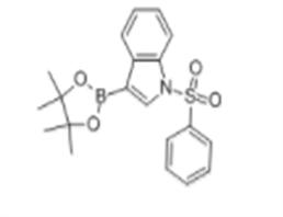 1-(Phenylsulfonyl)indole-3-boronic acid pinacol ester, 97%