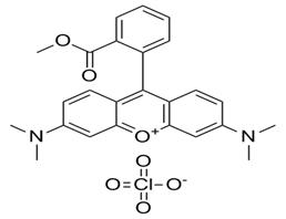 Tetramethylrhodamine methyl ester perchlorate