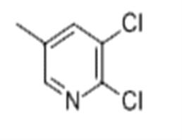 2,5-DICHLORO-3-METHYLPYRIDINE