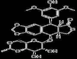 Etoposide