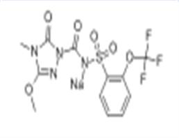 Flucarbazone sodium