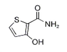 2-Thiophenecarboxamide,3-hydroxy-(9CI)