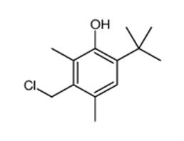 		6-tert-butyl-3-(chloromethyl)-2,4-dimethylphenol