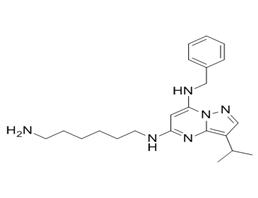 BS-181 hydrochloride