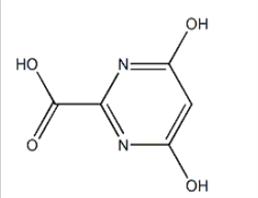 4,6-DihydroxypyriMidine-2-carboxylic Acid