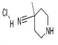 4-Methylpiperidine-4-carbonitrile hydrochloride pictures