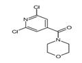 	4-(2,6-dichloro-isonicotinoyl)-morpholine pictures