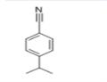4-ISOPROPYLBENZONITRILE pictures