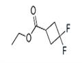 Cyclobutanecarboxylic acid, 3,3-difluoro-, ethyl ester (9CI) pictures