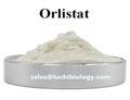 Orlistat Weight Loss Steroids