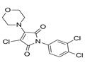 	3-chloro-1-(3,4-dichlorophenyl)-4-morpholin-4-ylpyrrole-2,5-dione