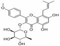 Baohuoside I